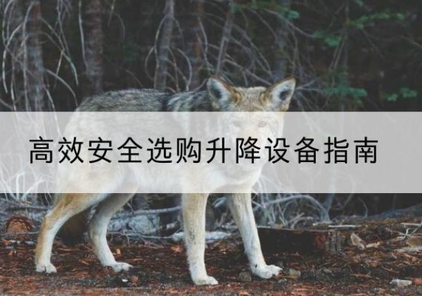 长葛升降货梯厂家推荐-*安全选购升降设备指南