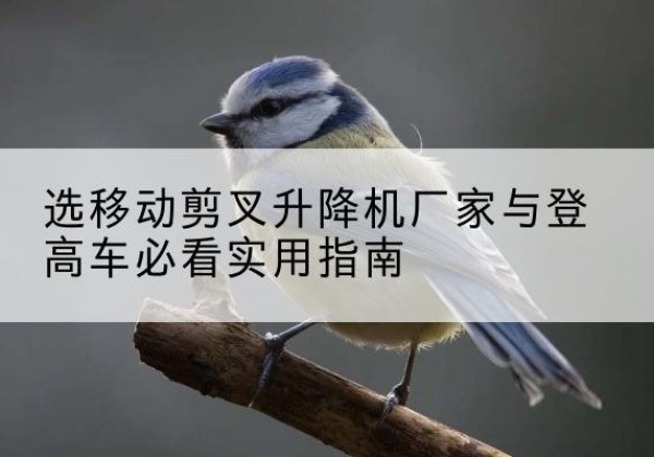 长葛电动升降机厂家-选移动剪叉升降机厂家与登高车必看实用指南