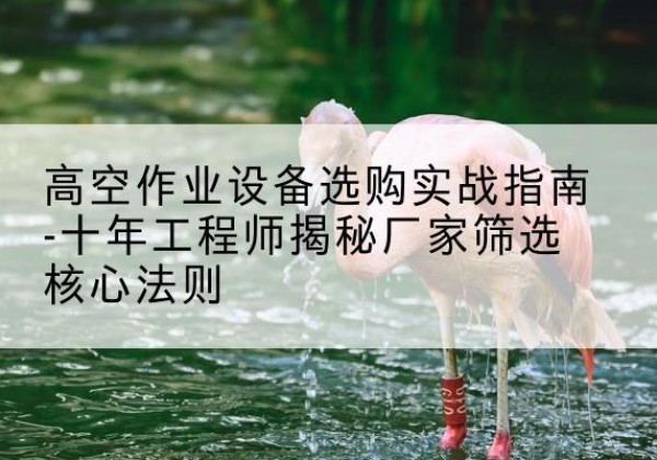 长葛剪叉式升降机厂家-高空作业设备选购实战指南-十年工程师揭秘厂家筛选核心法则